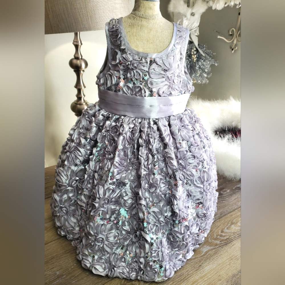 Baby's Blueberi boulevard silver embellished form dress Size 12 months